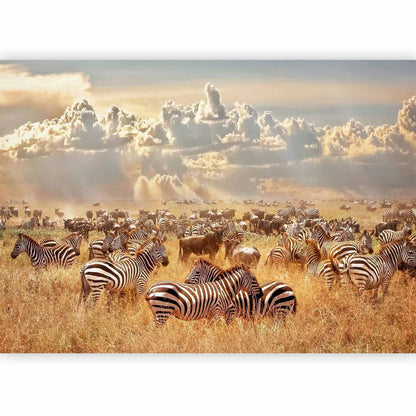 Wall Mural - Zebra Land