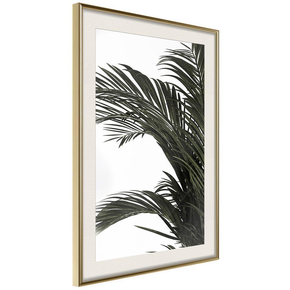 Botanical Wall Art - Jungle Scent-artwork for wall with acrylic glass protection