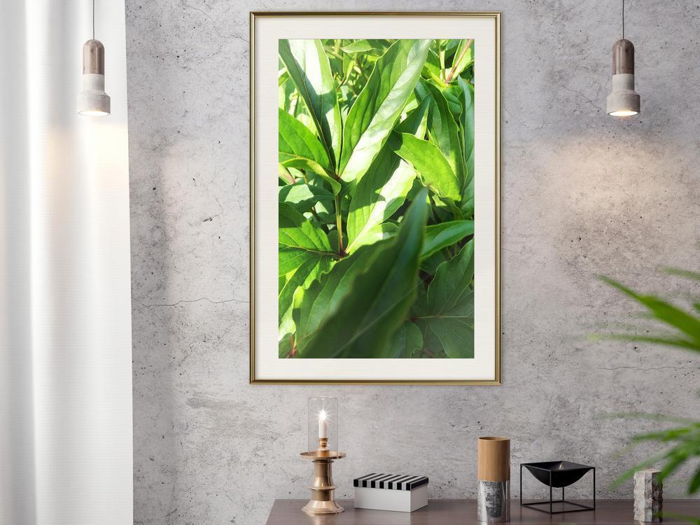 Botanical Wall Art - Somewhere in the Garden-artwork for wall with acrylic glass protection