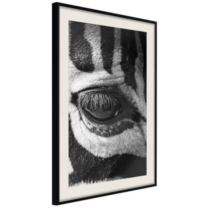Frame Wall Art - Zebra Is Watching You-artwork for wall with acrylic glass protection
