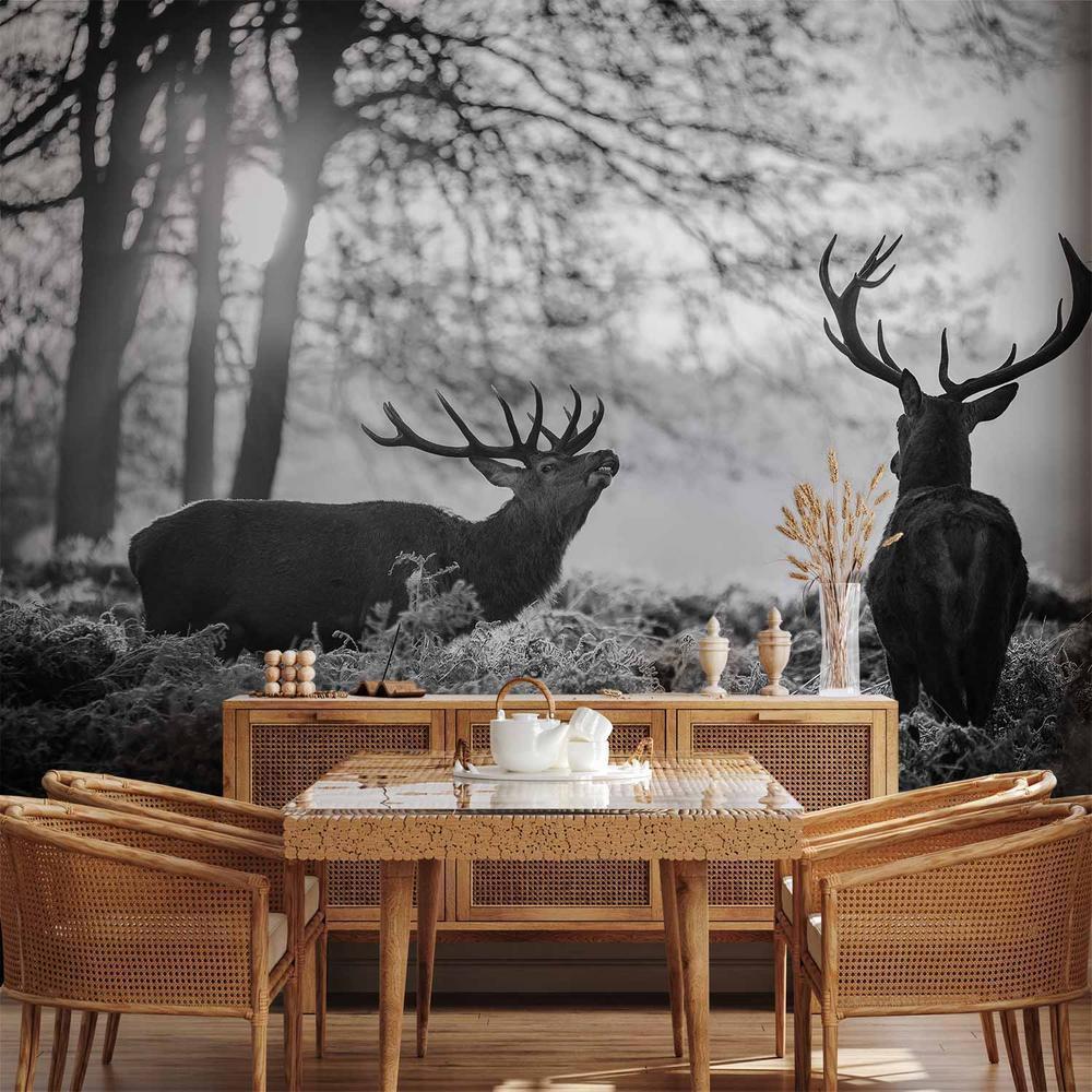 Wall Mural - Deers in the Morning