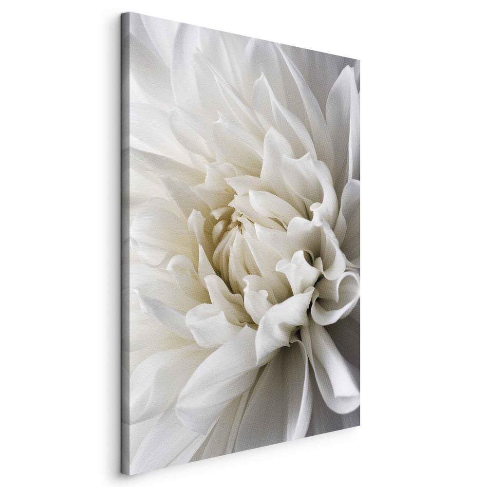 Canvas Print - White Dahlia