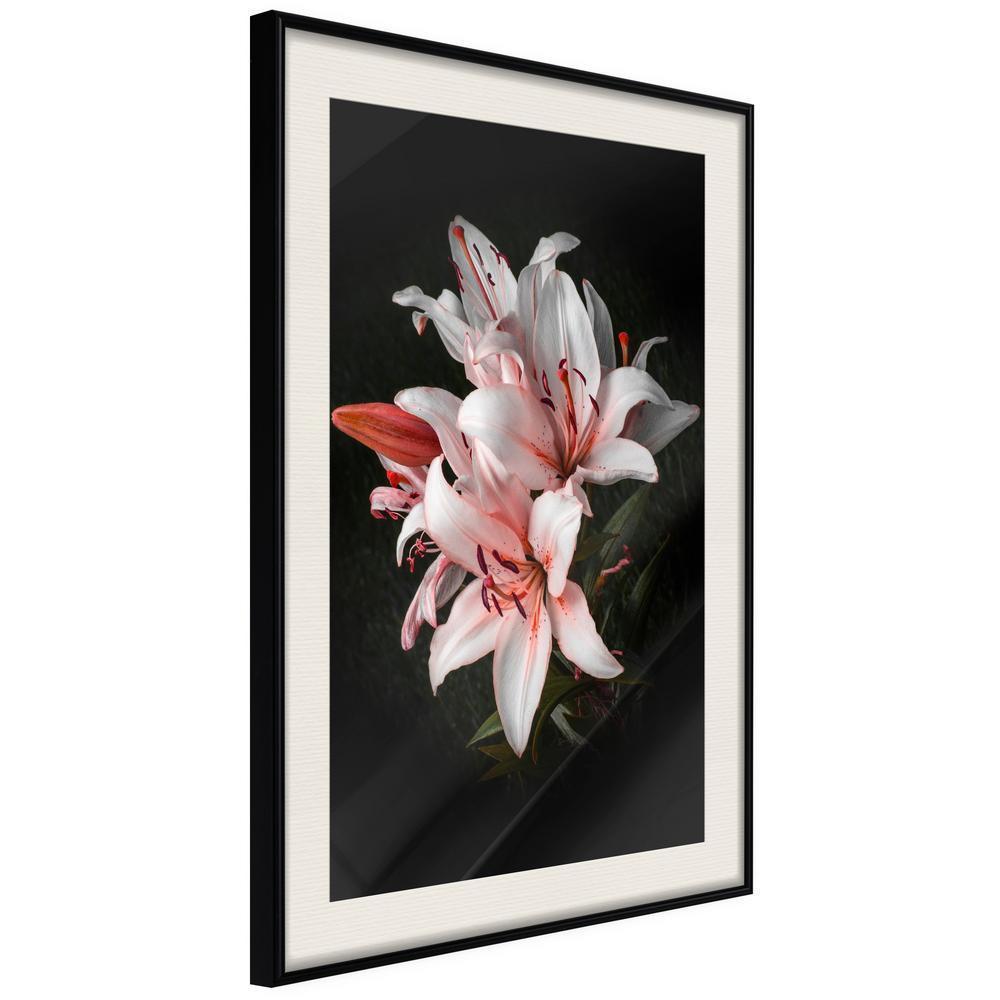 Botanical Wall Art - Pale Pink Lilies-artwork for wall with acrylic glass protection