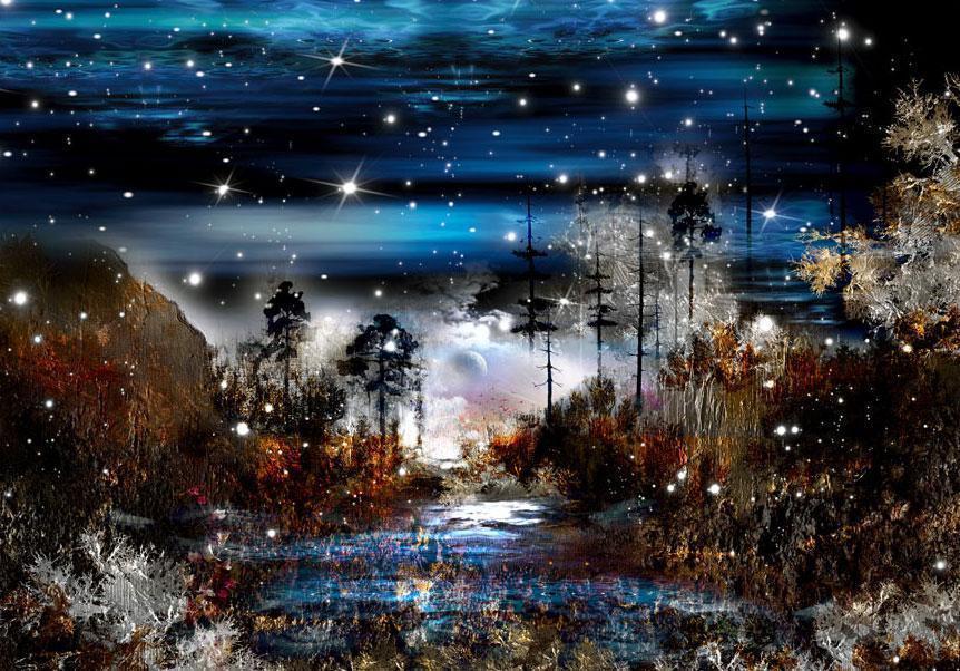 Wall Mural - Night in the forest-Wall Murals-ArtfulPrivacy