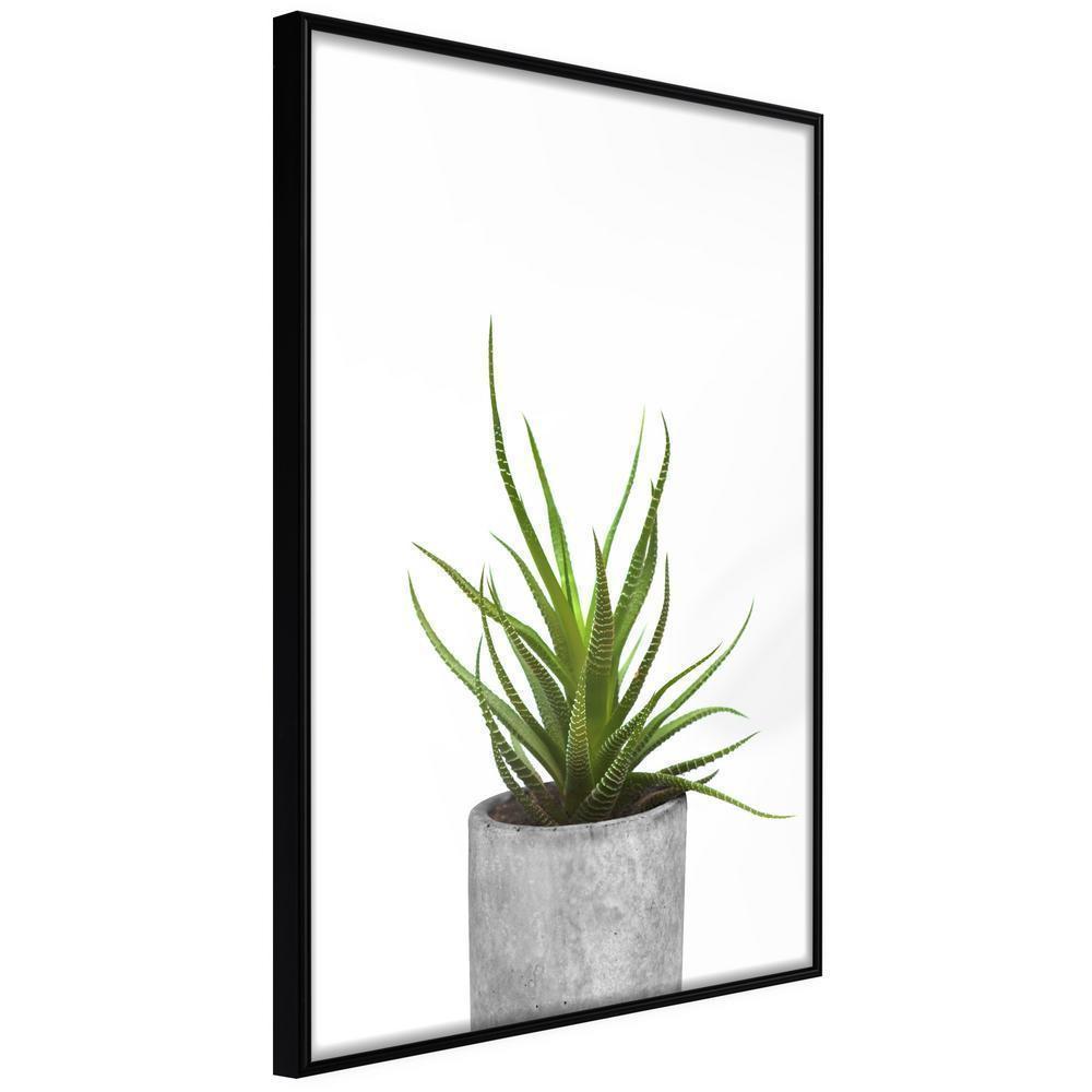 Botanical Wall Art - Piece of Nature I-artwork for wall with acrylic glass protection