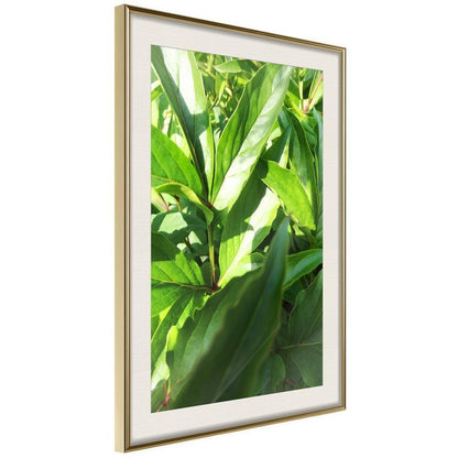 Botanical Wall Art - Somewhere in the Garden-artwork for wall with acrylic glass protection