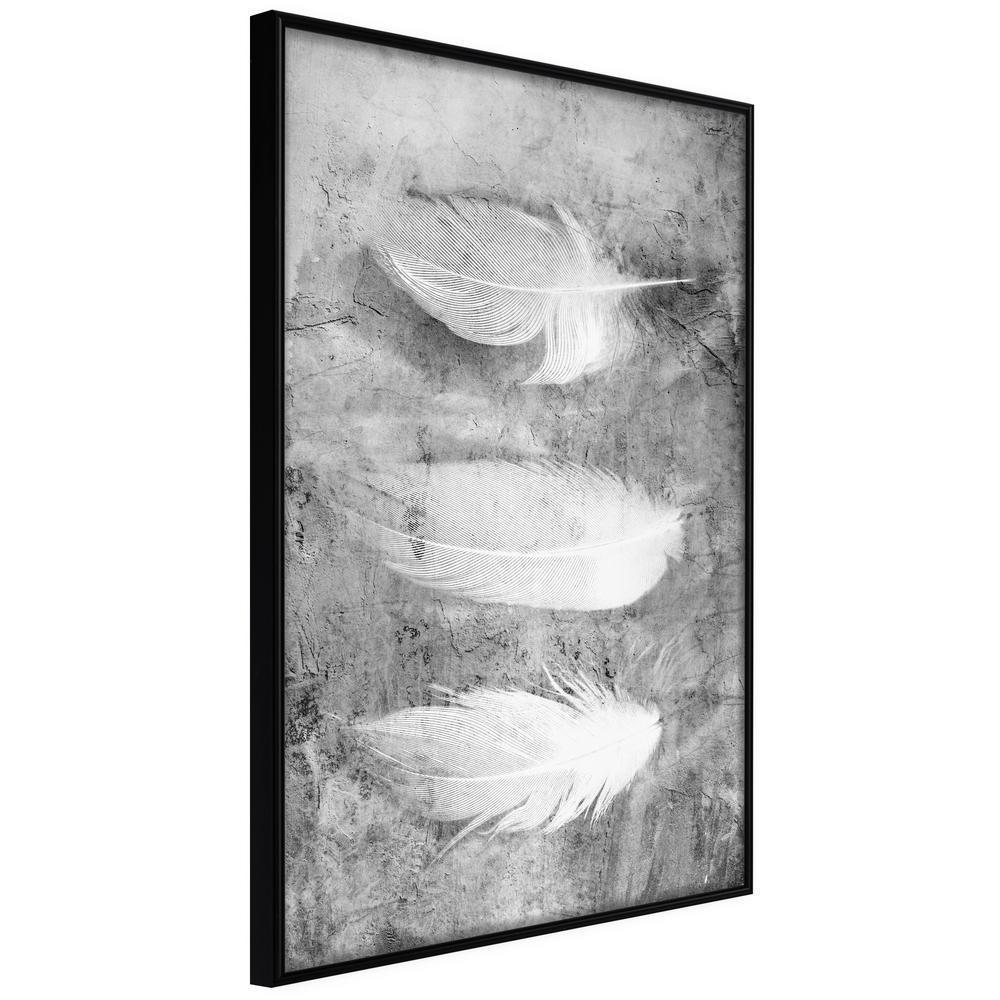 Black and White Framed Poster - Delicate Feathers-artwork for wall with acrylic glass protection