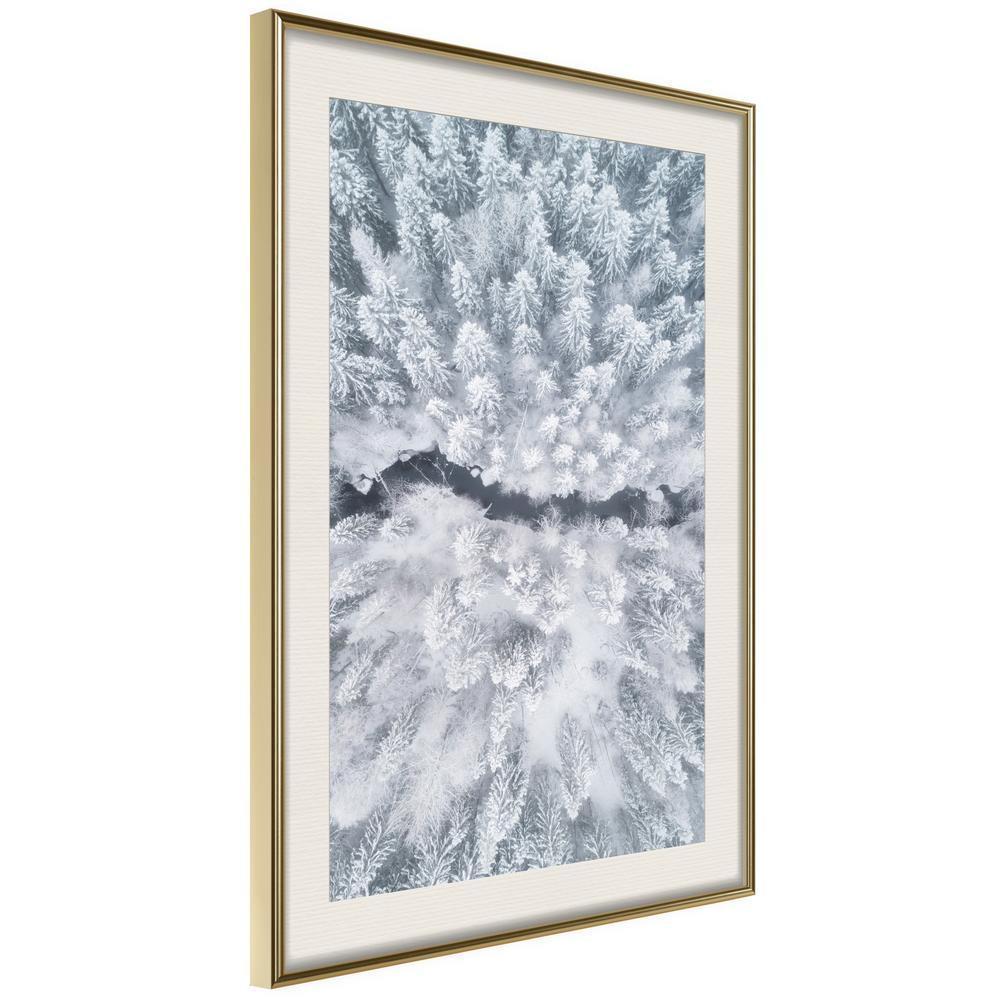 Winter Design Framed Artwork - Winter Forest From a Bird's Eye View-artwork for wall with acrylic glass protection