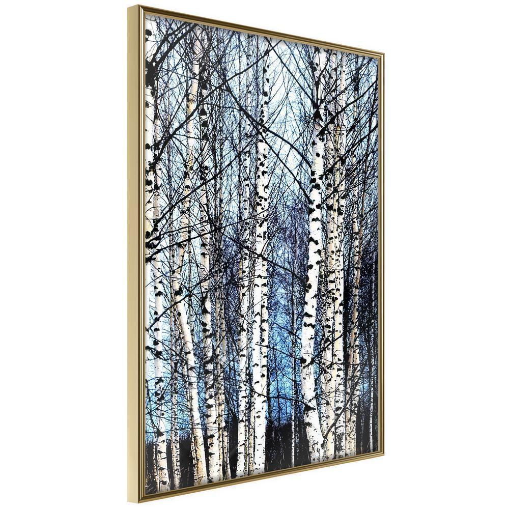 Winter Design Framed Artwork - Winter Birch Trees-artwork for wall with acrylic glass protection