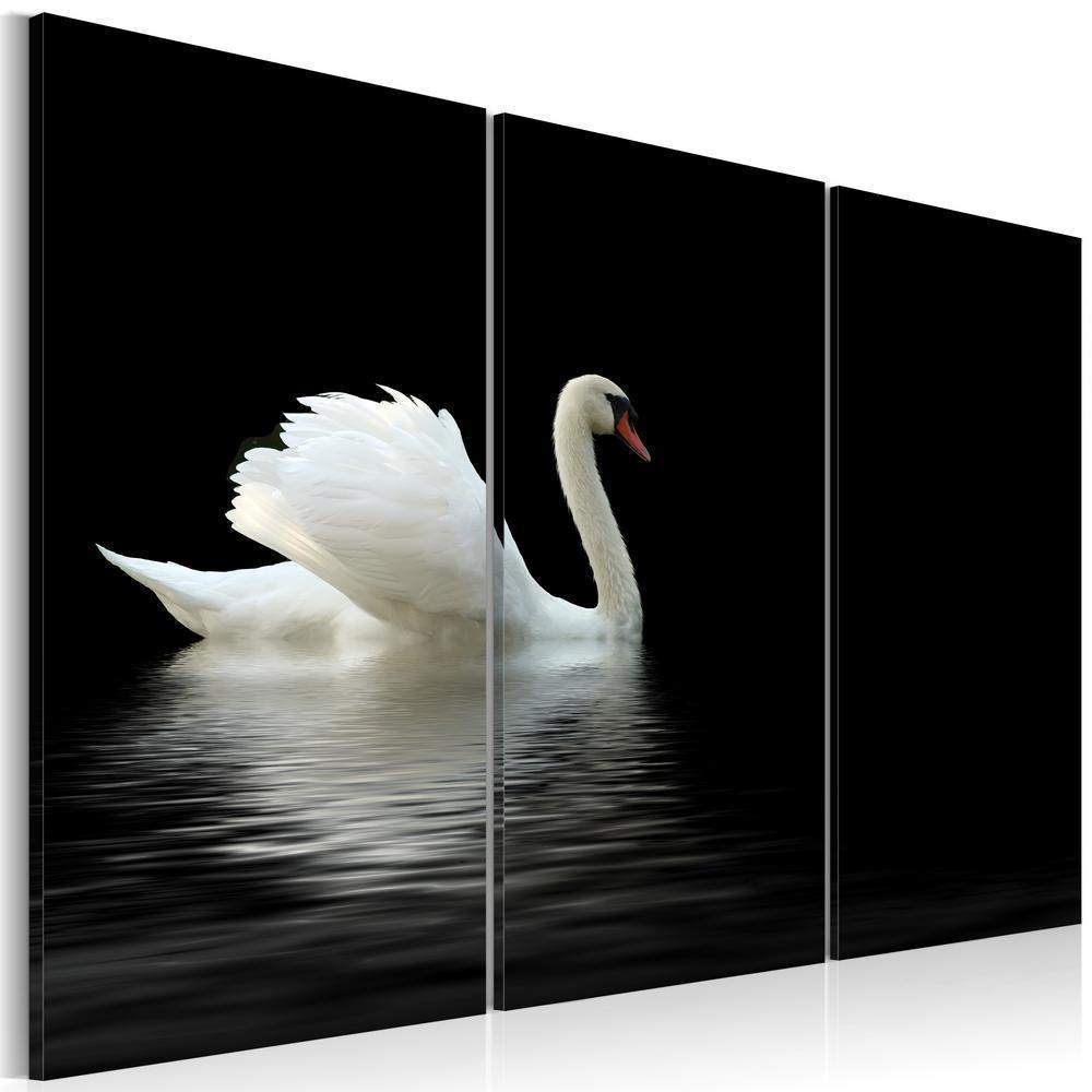 Canvas Print - A lonely white swan-ArtfulPrivacy-Wall Art Collection