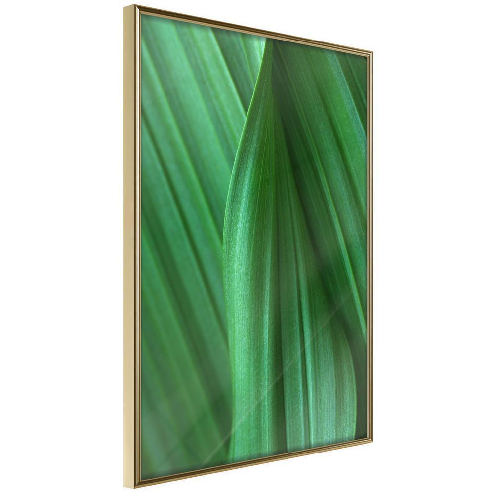 Botanical Wall Art - Leaf Structure-artwork for wall with acrylic glass protection