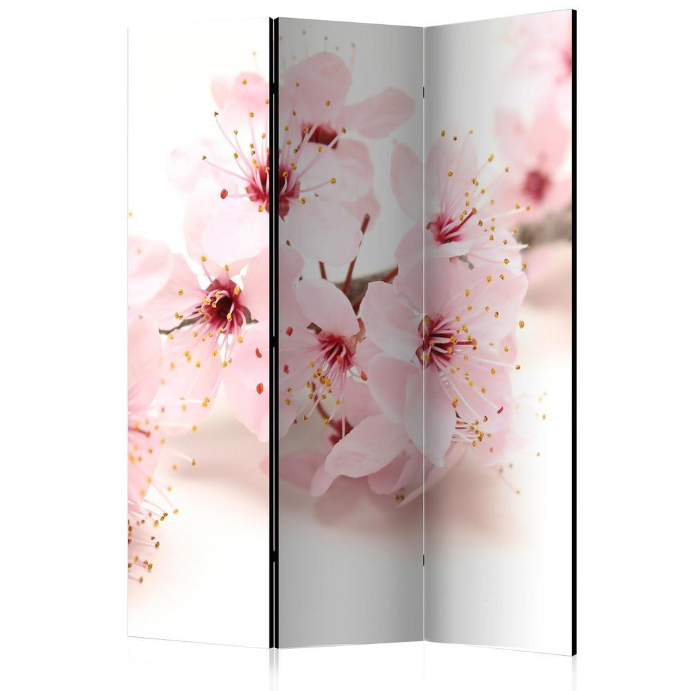 Room Divider - Cherry Blossom