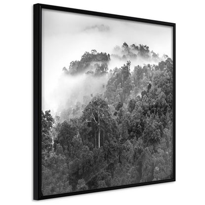 Framed Art - Foggy Forest-artwork for wall with acrylic glass protection