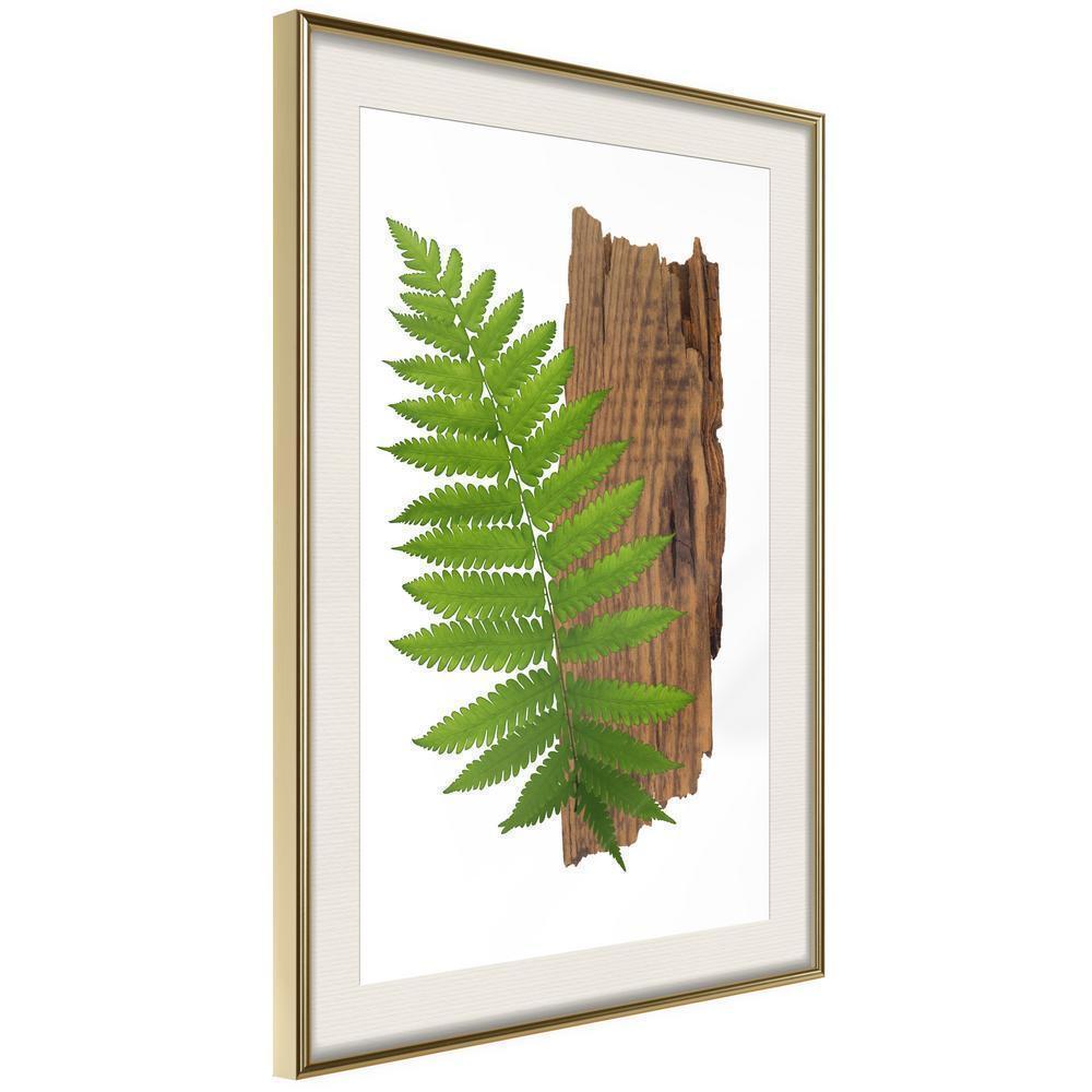 Botanical Wall Art - Expressive Ferm-artwork for wall with acrylic glass protection