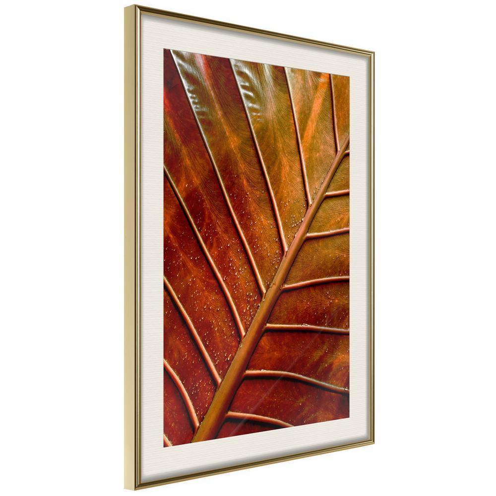 Autumn Framed Poster - Bronze Leaf-artwork for wall with acrylic glass protection