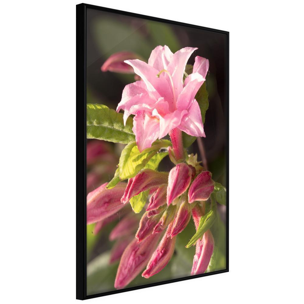 Botanical Wall Art - Garden's Centerpiece-artwork for wall with acrylic glass protection