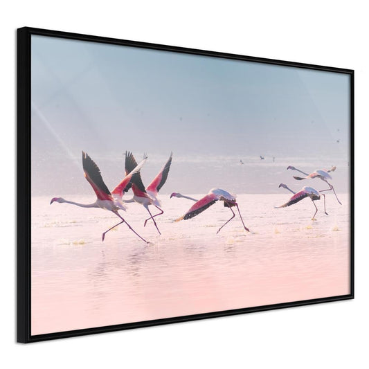 Frame Wall Art - Flamingos Breaking into a Flight-artwork for wall with acrylic glass protection