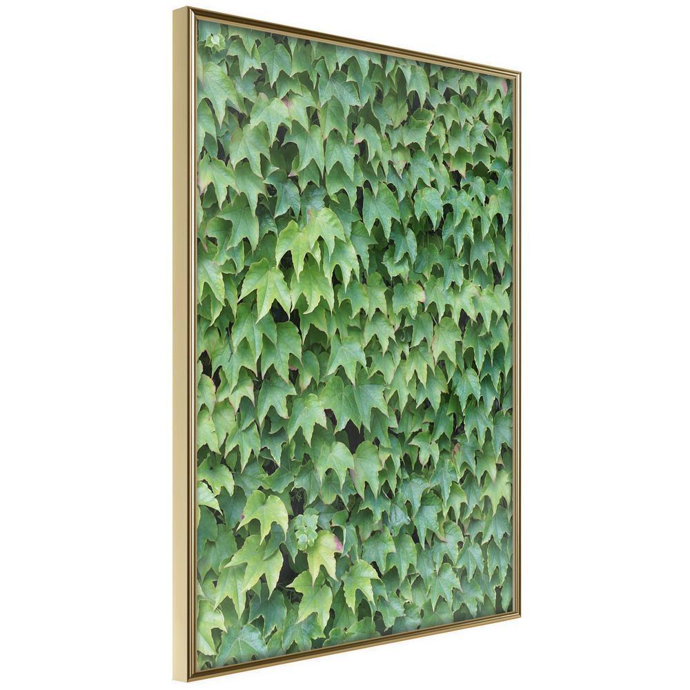 Botanical Wall Art - Hidden-artwork for wall with acrylic glass protection