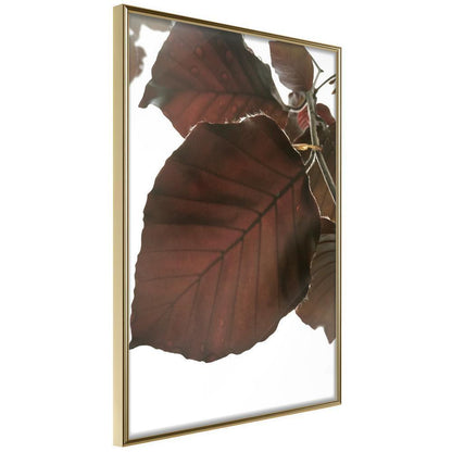 Autumn Framed Poster - Burgundy Tilia Leaf-artwork for wall with acrylic glass protection