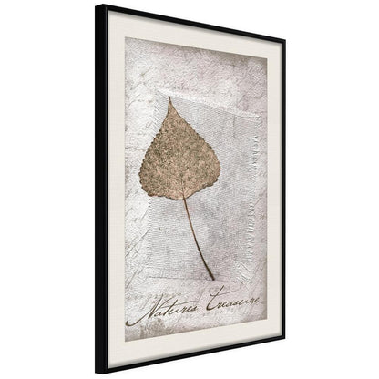Botanical Wall Art - Dried Leaf-artwork for wall with acrylic glass protection