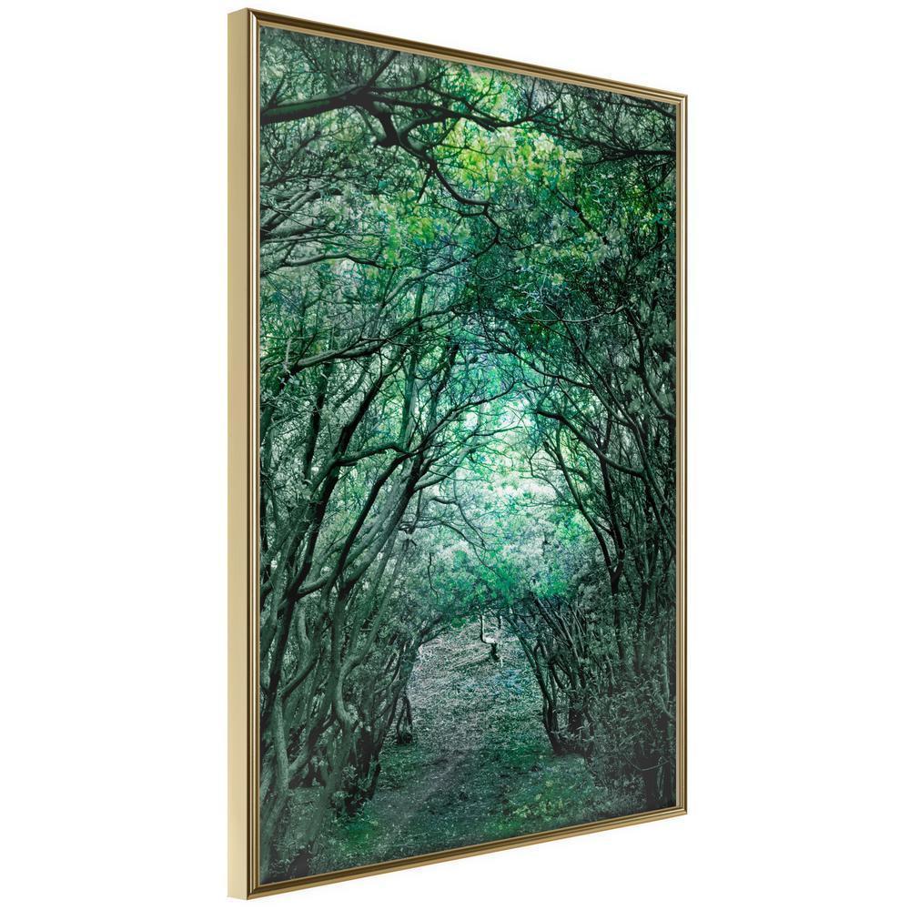 Framed Art - Tree Tunnel-artwork for wall with acrylic glass protection