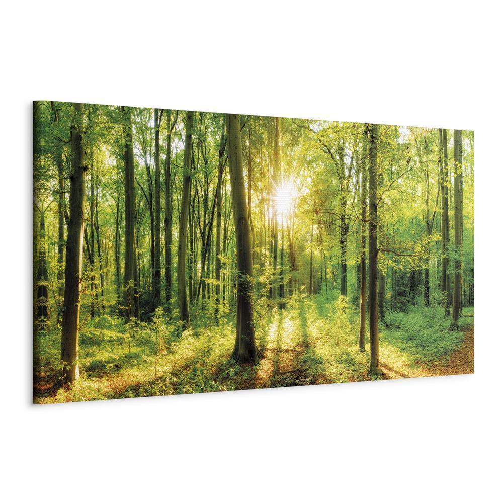 Canvas Print - Green Magic-ArtfulPrivacy-Wall Art Collection