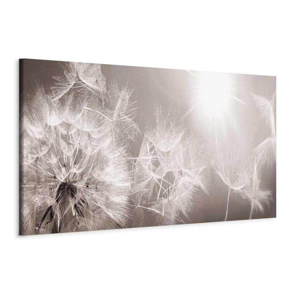 Canvas Print - Summer Dandelions