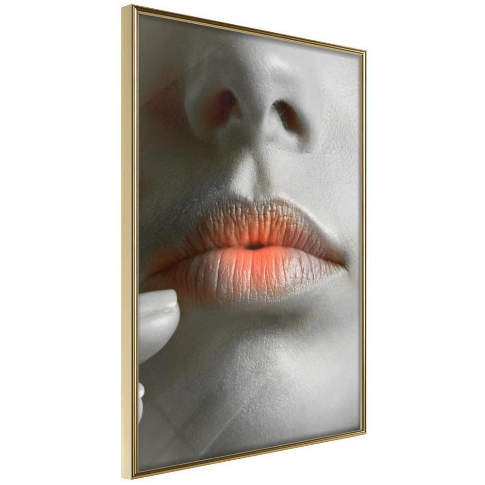 Wall Decor Portrait - Ombre Lips-artwork for wall with acrylic glass protection