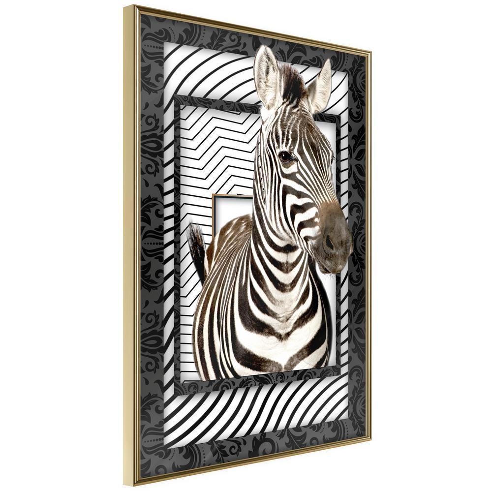 Frame Wall Art - Zebra in the Frame-artwork for wall with acrylic glass protection