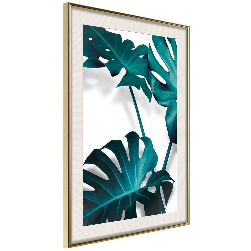 Botanical Wall Art - Turquoise Monstera II-artwork for wall with acrylic glass protection