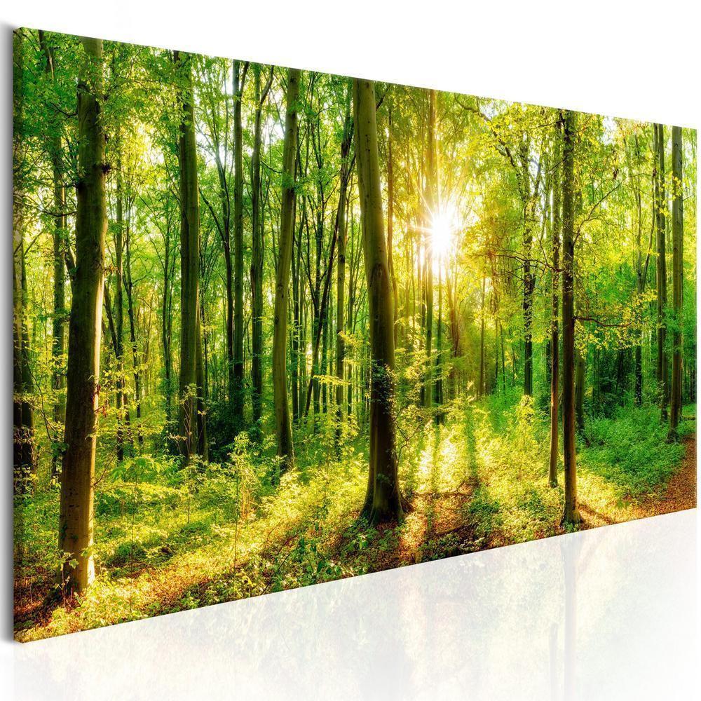 Canvas Print - Green Magic-ArtfulPrivacy-Wall Art Collection