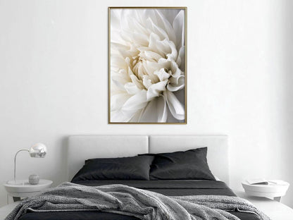 Botanical Wall Art - Peace of Mind-artwork for wall with acrylic glass protection