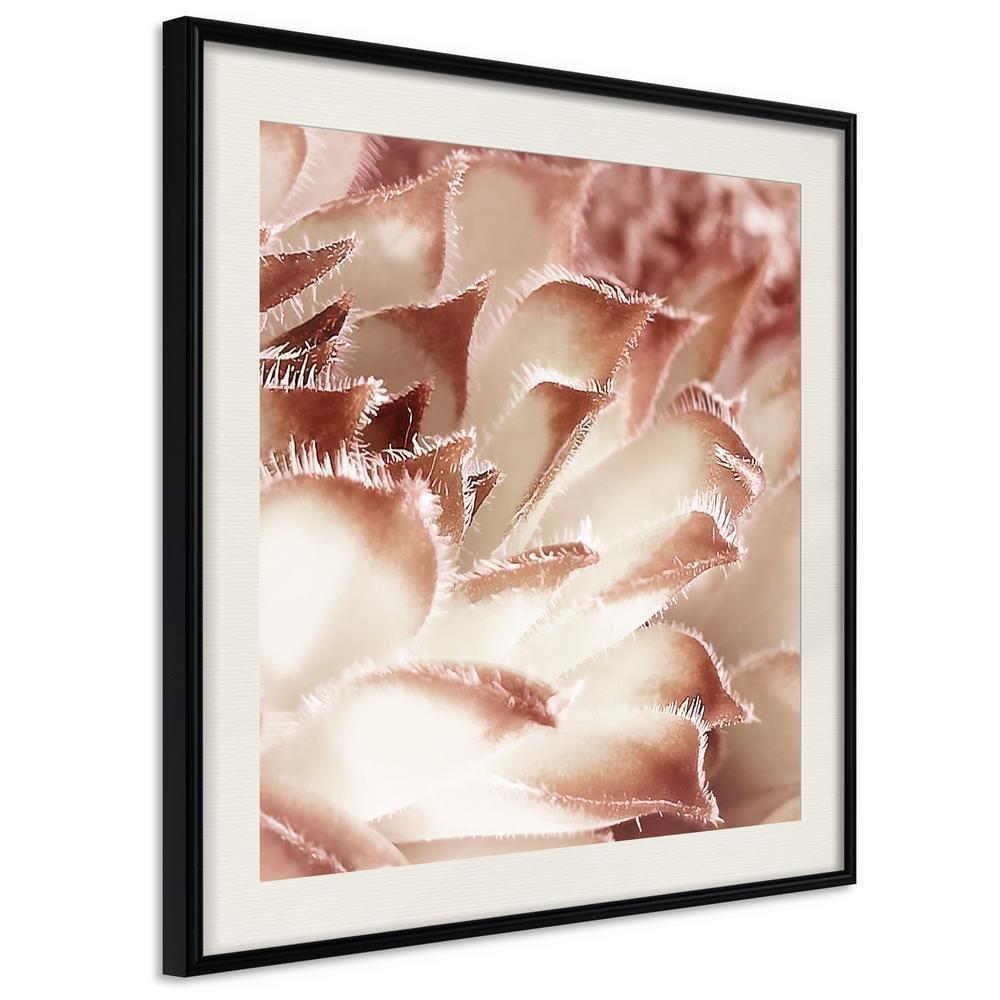 Botanical Wall Art - Floral Calyx-artwork for wall with acrylic glass protection