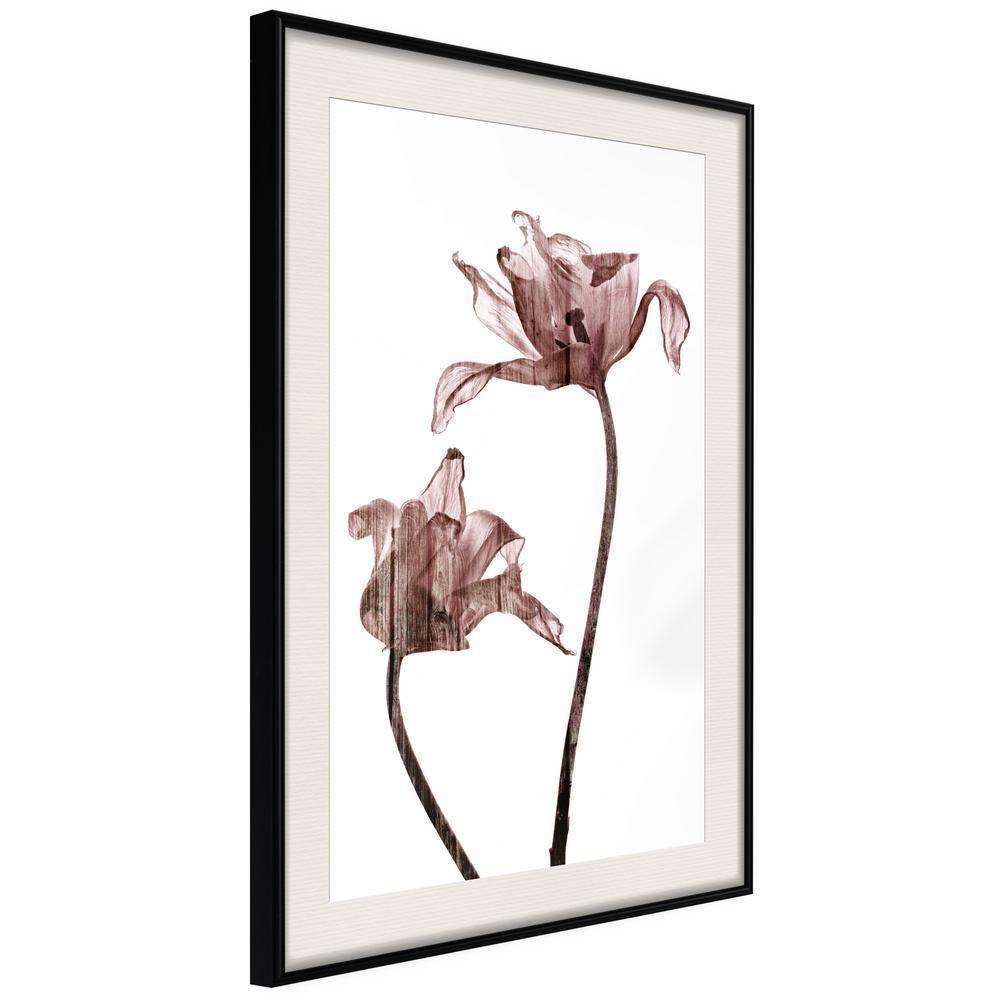 Botanical Wall Art - Flashback of Last Summer-artwork for wall with acrylic glass protection