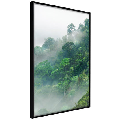 Framed Art - Green Lungs of the Earth II-artwork for wall with acrylic glass protection