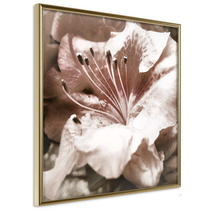 Botanical Wall Art - Blissful Rest-artwork for wall with acrylic glass protection