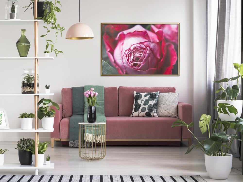 Botanical Wall Art - Blooming Rose-artwork for wall with acrylic glass protection