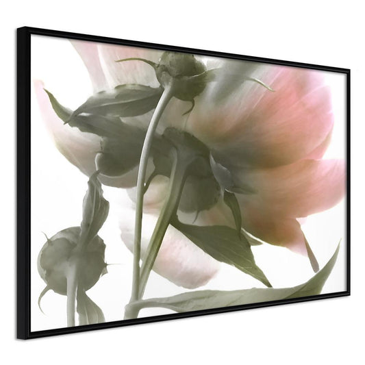 Botanical Wall Art - Under the Flower-artwork for wall with acrylic glass protection