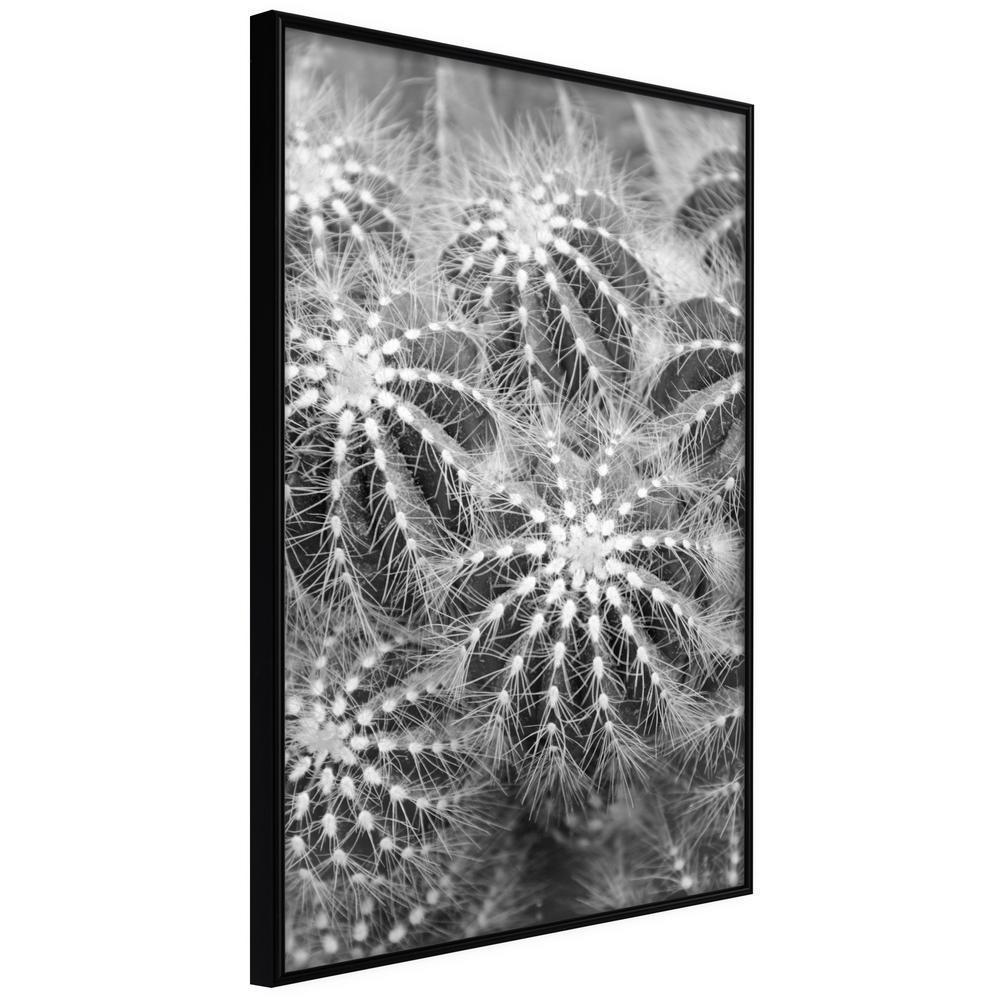 Botanical Wall Art - Do Not Touch-artwork for wall with acrylic glass protection