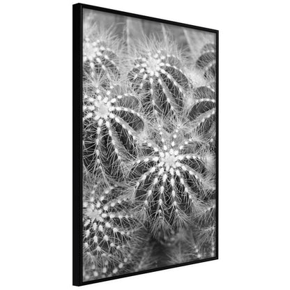 Botanical Wall Art - Do Not Touch-artwork for wall with acrylic glass protection