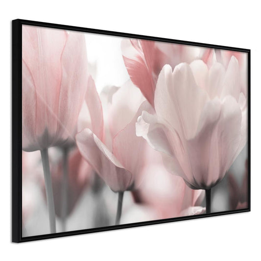 Botanical Wall Art - Pastel Tulips II-artwork for wall with acrylic glass protection
