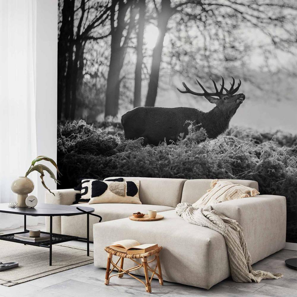 Wall Mural - Deers in the Morning