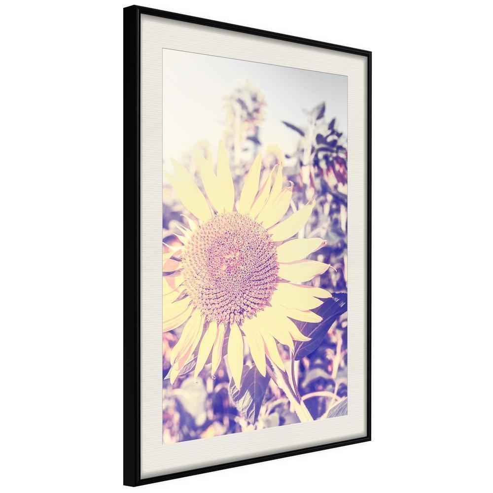 Botanical Wall Art - Facing the Sun-artwork for wall with acrylic glass protection