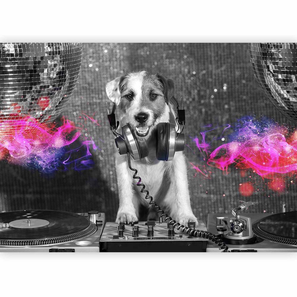 Wall Mural - DJ Dog