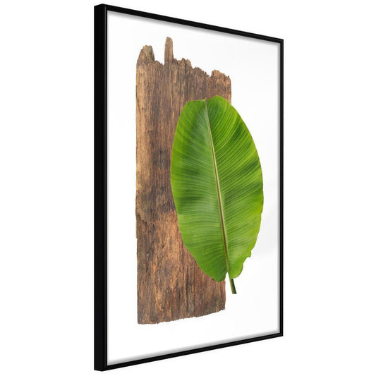 Botanical Wall Art - Forest Nature-artwork for wall with acrylic glass protection