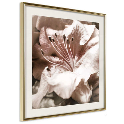 Botanical Wall Art - Blissful Rest-artwork for wall with acrylic glass protection