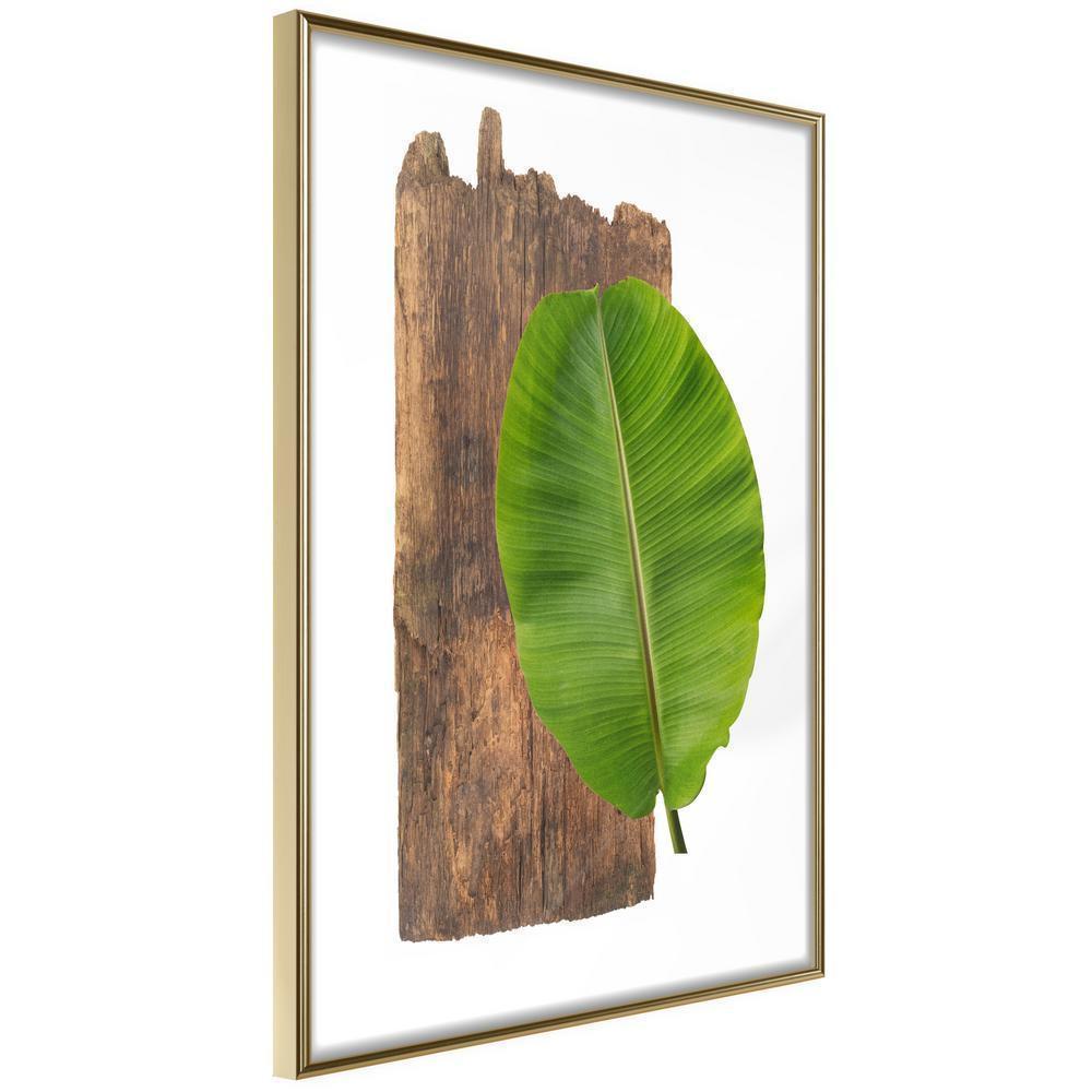 Botanical Wall Art - Forest Nature-artwork for wall with acrylic glass protection