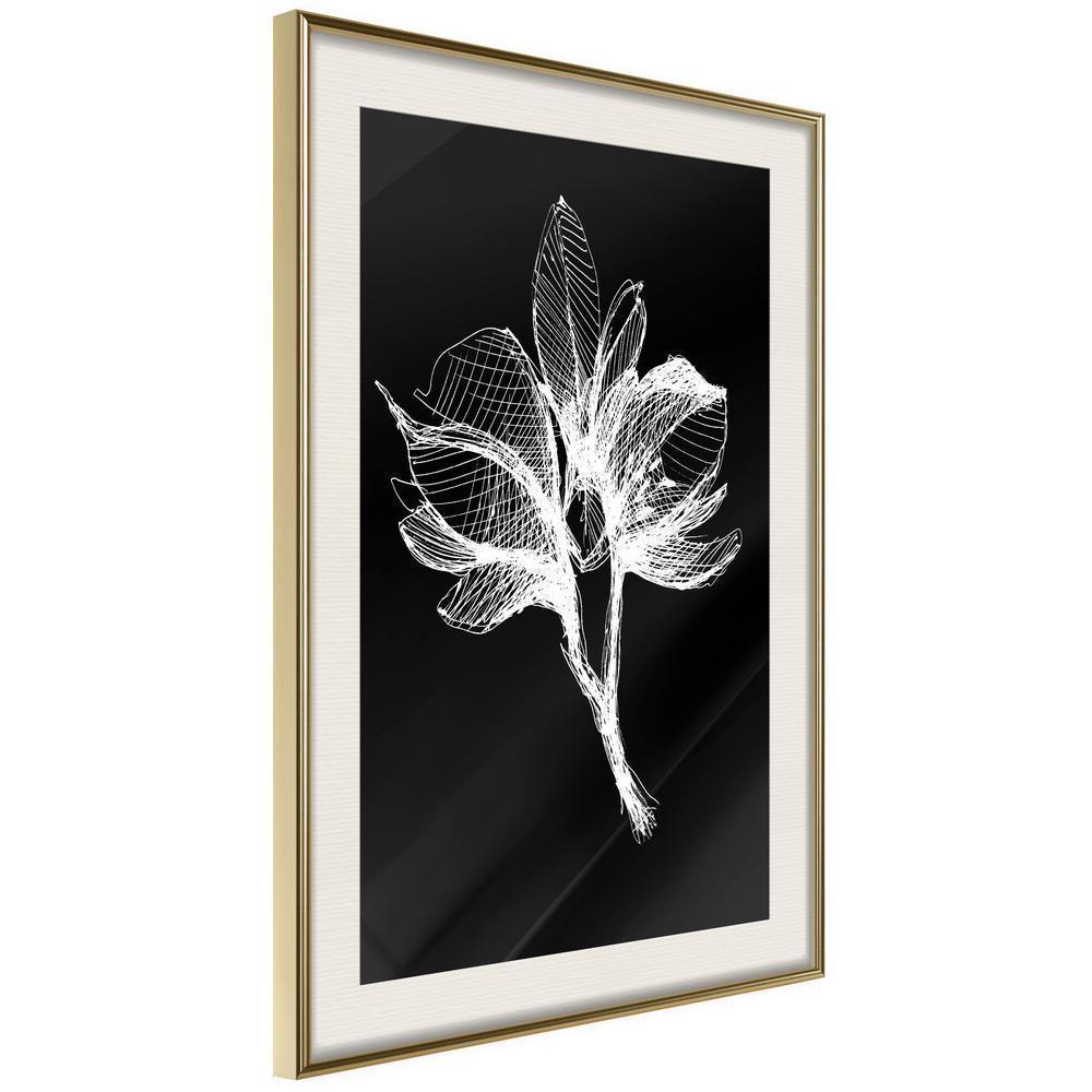 Botanical Wall Art - White Plant-artwork for wall with acrylic glass protection