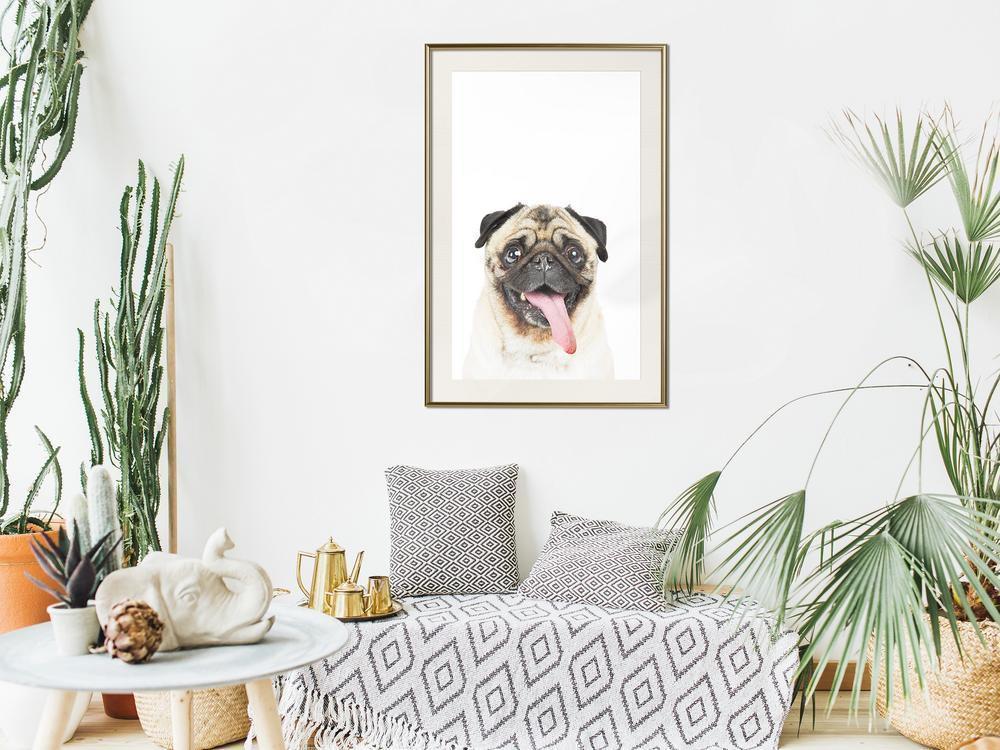 Nursery Room Wall Frame - Funny Pug-artwork for wall with acrylic glass protection