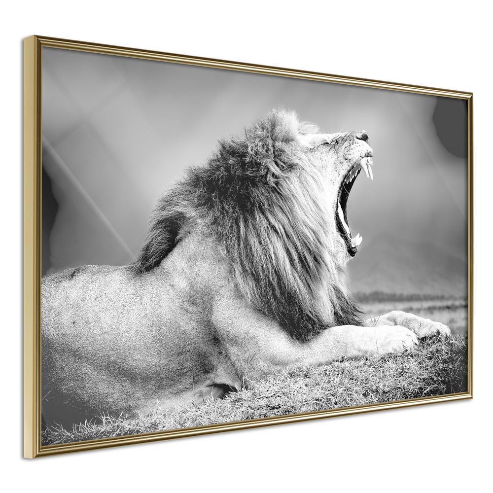 Frame Wall Art - Yawning Lion-artwork for wall with acrylic glass protection